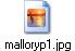 malloryp1.jpg