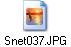 Snet037.JPG