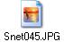 Snet045.JPG